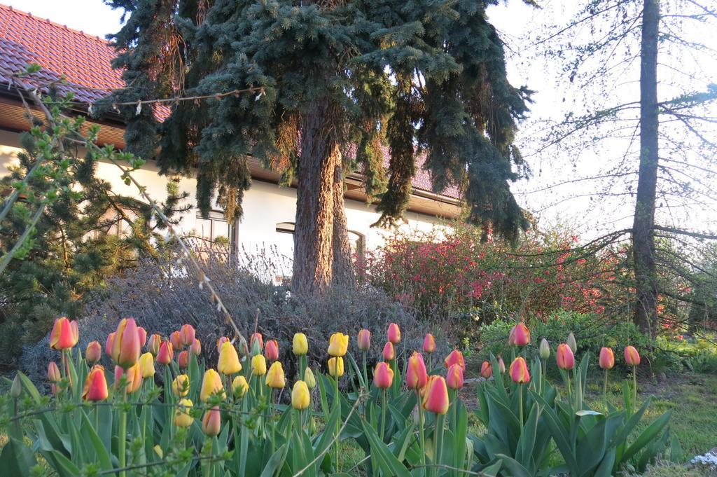 La Ferme De Sissi Apartment Smrzice Bagian luar foto